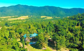 Jackaroo Treehouse Rainforest Retreat