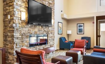 Comfort Inn & Suites Niagara Falls Blvd USA