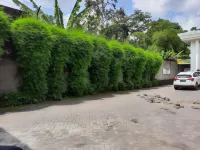 Paviliun Helomi Hotel a Selomartani