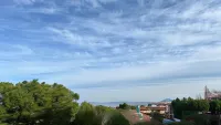 Cleo Orchidea Hotels in Falconara Marittima