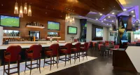 HS Hotsson Hotel Irapuato - bar