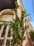 Seringal Hotel Hotels in Manaus