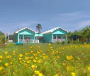 Blue Lizard House