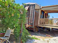 Galilee Bedouin Camplodge Hotels in 