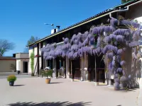 Les Barelles Chambres D’Hôtes - B&B