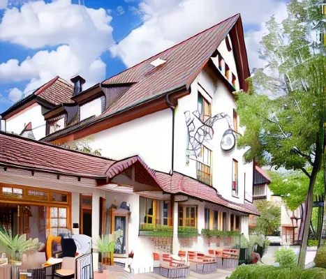 Kohlers Hotel Engel - Wifi