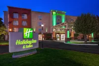 Holiday Inn & Suites San Mateo-San Francisco SFO Hotels in San Mateo