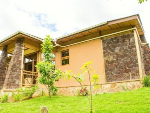 伊朱米比黑猩猩小屋