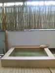 Kamesei Ryokan - Hot Springs