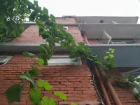 Family Peace House Hotel di 