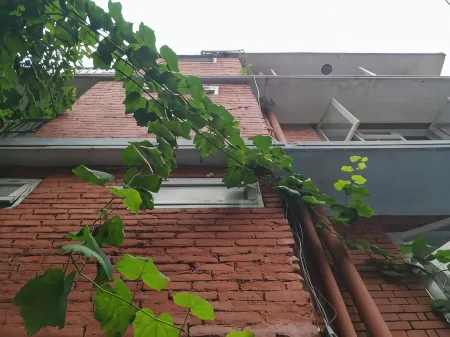 Family Peace House