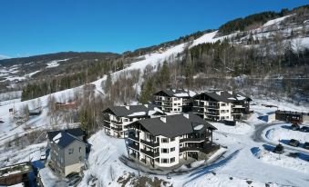 Alpin Apartments Sørlia