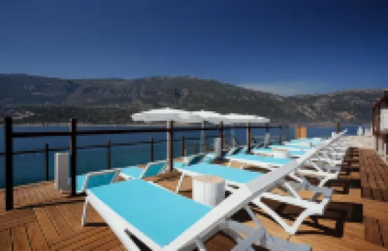 แอลลี่ ไพรม์