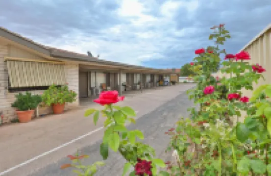 米爾迪拉葡萄園汽車旅館