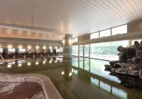 Nogi Onsen Hotel Hotels in Otawara