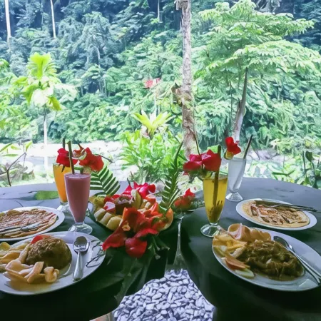 Back to Nature Ecotourism