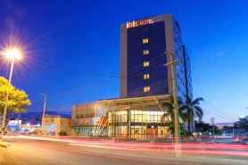 Ibis Mossoro