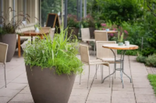 Vegan Health Hotel Sonnenberg