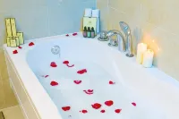 Premium Hotel Ulaanbaatar - Mountain view