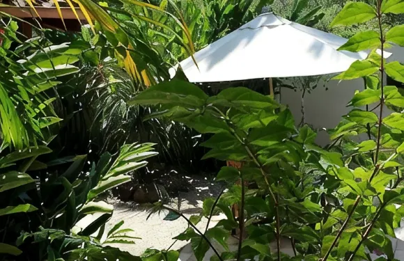 瑙斯德帕拉蒂旅館