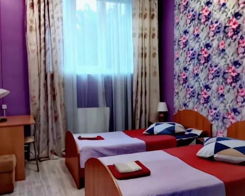 Mini-Hotel Alenka Hotels in Pushkin