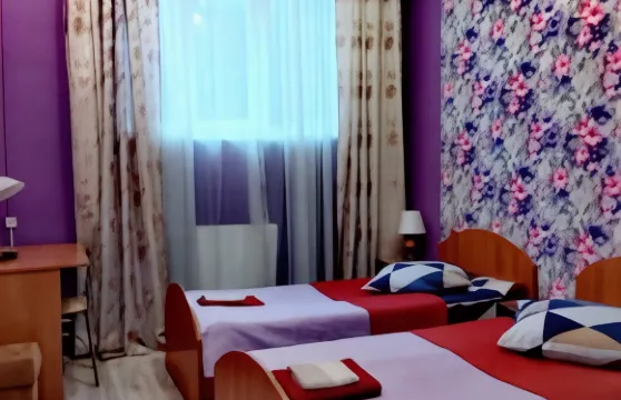 時鐘花屬研究所附近阿克辛雅酒店