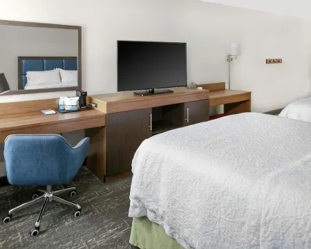 Hampton Inn Portage Hotels in Portage