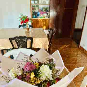 Lazy Bear Best Hostel in Kandy Dining/Meeting Rooms