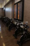 Hotel Dreams de Los Volcanes - Puerto Varas - Phòng tập thể hình