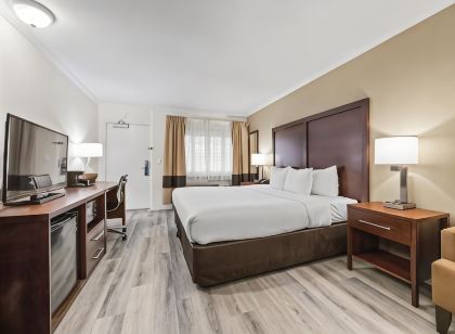 컴포트 인 산타크루즈