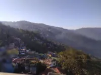 Sparrow Nest Homestay: Where Comfort Takes Flight and Hospitality Sings