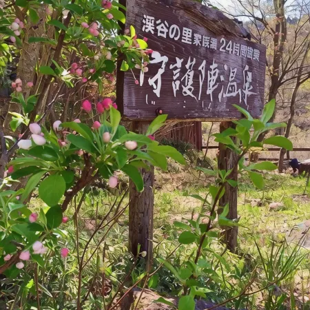 Shugojin Onsen