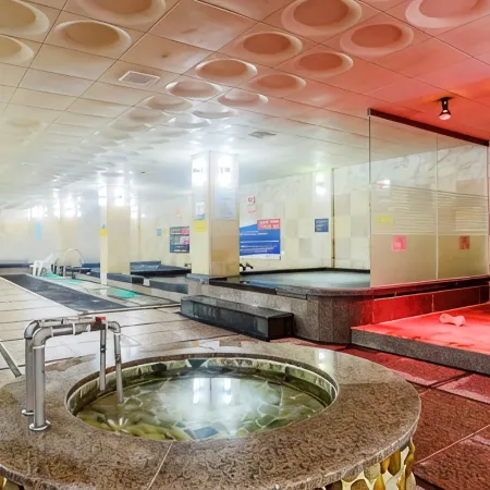 Lamer Hotel & Seawater Spa Busan