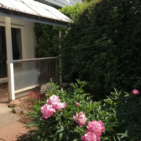 Vacation apartment by the Baltic Sea - Flensburg Fjord with dog, 450 meters to the beach