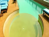 華威棕櫚海灘酒店 - 海景