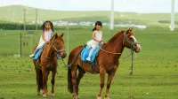 Saibei Station (Huiteng Xile Grassland Pearl Branch) - Homestays