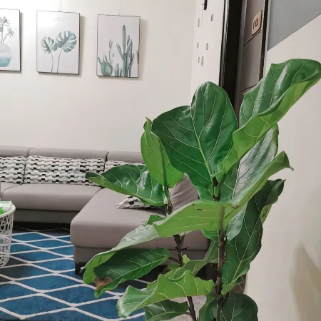 Green Blossom Homestay