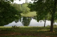 Climb On Inn~ Studio~ Naturally Gorgeous~Rock Climbing -Red River Gorge~Cozy - Homestays