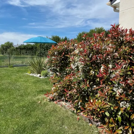 Gîte les Coquelicots