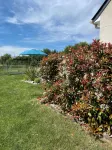 Gîte les Coquelicots
