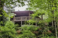 3 bedroom cabin w/hot tub