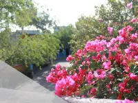 Hotel Hacienda del Viejo Hotels in Matamoros
