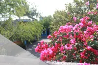 Hotel Hacienda del Viejo