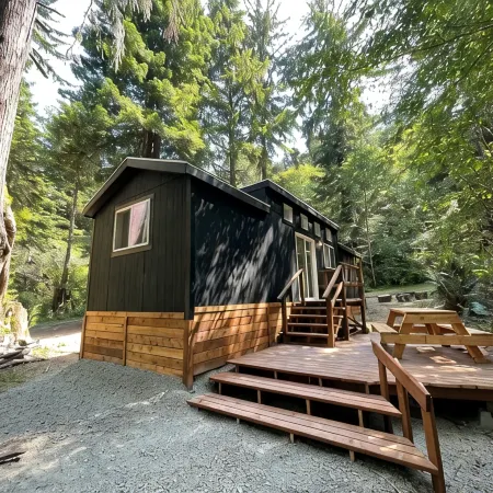 The Black Bear Cabin - 2 bedrooms in the redwoods