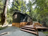 The Black Bear Cabin - 2 bedrooms in the redwoods - 샬레 호텔