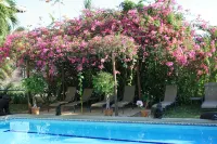 Epic views, 6-min. walk from beach, full size pool - VILLAS CASA LOMA, Suite 402 -  Holiday Villas