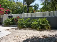 Conch House in the Historic District
