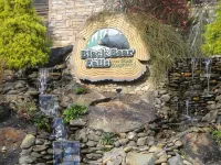 " Beary Cozy Cabin " - Private Pools