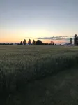 Guest House near Glacier with sunset views