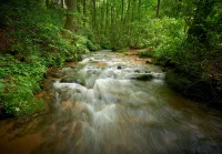 Sleepy Creek-Antique Log Cabin/4 Acre/Bold Stream/Near Boone and BR Pkwy/Firepit - Chalets